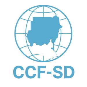 منتدى التحول المدني والدستوري: قرائن قصف شمال الوادي تستوجب تحقيقاً دولياً مستقلاً ومساءلة المسؤولين